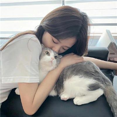 群芳谱封面