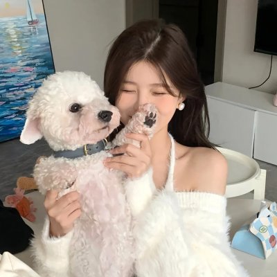 无敌少侠第三季封面
