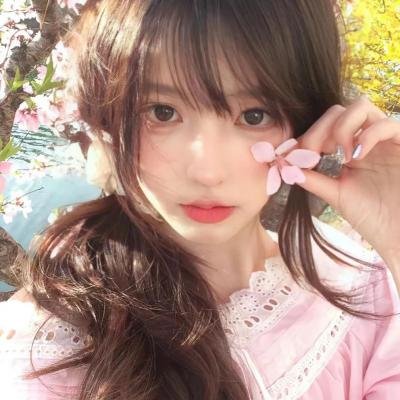 小可爱与拳击手封面
