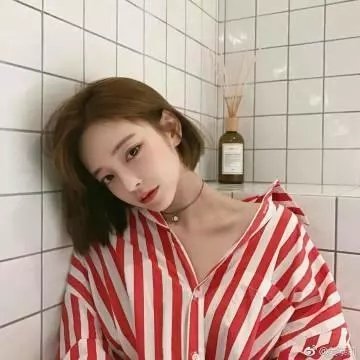 失踪者搜寻组消失的真相封面
